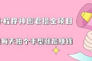 （6733期）抖音小程序神图君撸金项目，用手机每天拍个手型挂载一下小程序就能赚钱