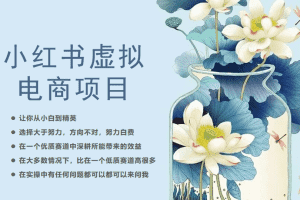 (6607期)小红书虚拟电商从0到1,让你从小白到精英(20节实操课程)