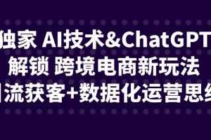(6599期)独家 AI技术&ChatGPT解锁 跨境电商新玩法,引流获客+数据化运营思维