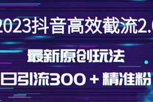 (5293期)日引300+创业粉,独家抖音高效截流2.0玩法(价值1280)
