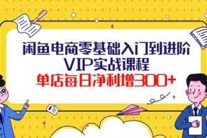 (3991期)闲鱼电商零基础入门到进阶VIP实战课程,单店每日净利增300+(37节课)