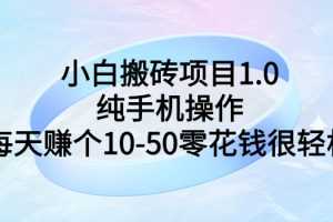 （2740期）小白搬砖项目1.0，纯手机操作，每天赚个10-50零花钱很轻松