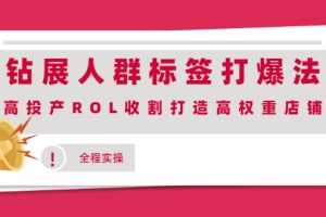 （2018期）钻展人群标签打爆法，高投产ROL收割打造高权重店铺(全程实操)