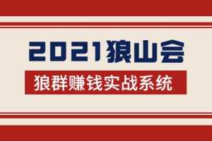 （1754期）2021狼山会狼群赚钱实战系统：让你步步为营，直达胜利终点的赚钱必备