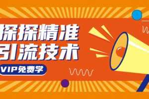 （1541期）探探精准引流技术：探探上模拟器+探探做号方法+模拟器话术+视频演示