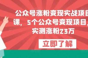 公众号涨粉变现实战项目课,5个公众号变现项目,实测涨粉23万