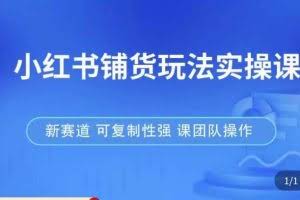 小红书铺货玩法实操课,流量大,竞争小,非常好做,新赛道,可复制性强,可团队操作