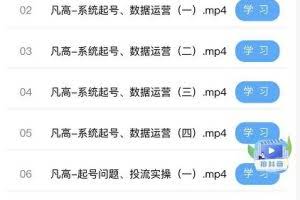 凡高直播带货入门课：直播带货常见问题、起号与投流、新规后的主播话术调整