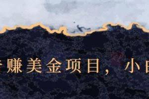 点击广告赚美金项目，小白可操作【视频课程】