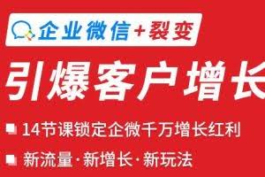 企业微信裂变增长实战课：企业微信+裂变，搞定企业微信千万增长