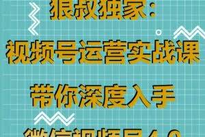 狼叔独家：视频号运营实战课，带你深度入手微信视频号4.0