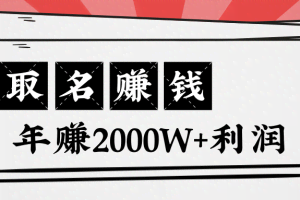 王通：不要小瞧任何一个小领域，取名技能也能快速赚钱，年赚2000W+利润