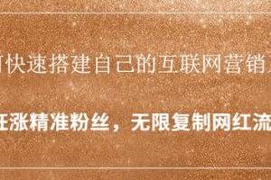 如何快速搭建自己的互联网营销系统，疯狂涨精准粉丝，无限复制网红流量