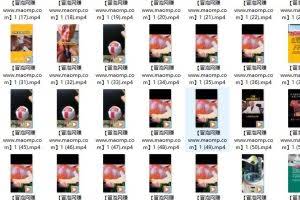 白狼敢死队3月最新（起号涨粉、带货变现、资源提供）附最新茶素材