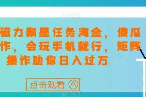 快手磁力聚星任务淘金，傻瓜式操作，会玩手机就行，矩阵操作助你日入过万