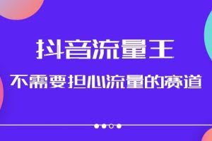 抖音流量王，不需要担心流量的赛道，美女图文音乐号升级玩法（附实操+养号流程）