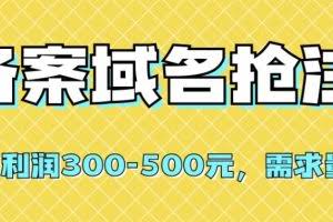 【全网首发】备案域名抢注，一单利润300-500元，需求量大