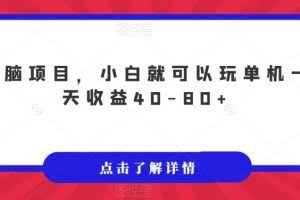 无脑项目，小白就可以玩单机一天收益40-80+【揭秘】