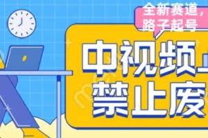 外面售价1599的中视频禁止废话系列视频制作教程,全新蓝海玩法