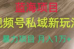 蓝海项目，视频号私域新玩法，暴力项目月入1万+【揭秘】