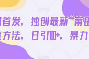 全网首发，独创最新“莆田鞋”引流方法，日引100+，暴力变现