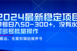 2024最新稳定风口项目，单号日入50-300+，没有水分 可多号批量操作
