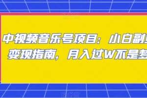 中视频音乐号项目：小白副业变现指南，月入过W不是梦【揭秘】