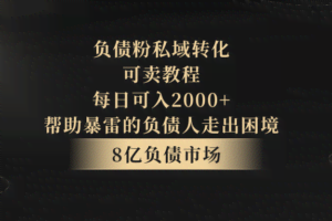 负债粉私域转化，可卖教程，每日可入2000+，无需经验