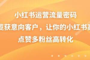 （8764期）小红书运营流量密码，揽获意向客户，让你的小红书高点赞多粉丝高转化