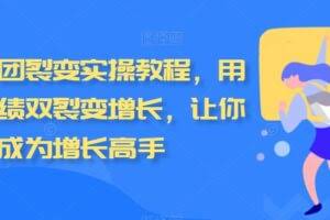 私域拼团裂变实操教程，用户和业绩双裂变增长，让你成为增长高手