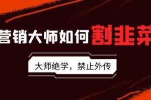 (9049期)营销大师如何割韭菜:流量大师/讲故事大师/话术大师/卖货大师/成交大师/…