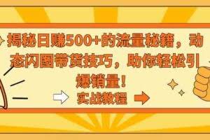 （9058期）揭秘日赚500+的流量秘籍，动态闪图带货技巧，助你轻松引爆销量！