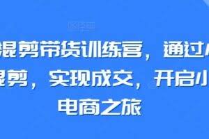 小红书混剪带货训练营，通过小红书搬运混剪，实现成交，开启小红书电商之旅