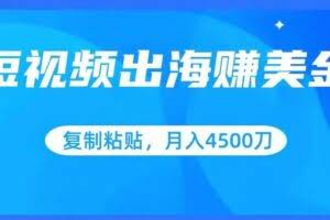 短视频出海赚美金，复制粘贴批量操作，小白轻松掌握，月入4500美刀【揭秘】