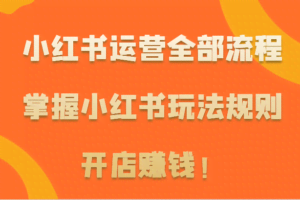 小红书运营全部流程，掌握小红书玩法规则，开店赚钱！