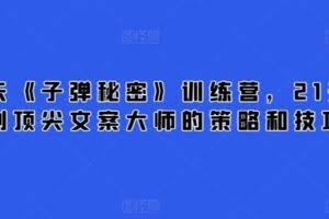 21天《子弹秘密》训练营，21天学到顶尖文案大师的策略和技巧