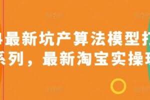 2024最新坑产算法模型打款玩法系列，最新淘宝实操玩法