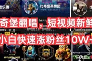 AI比奇堡翻唱,短视频新鲜赛道,小白快速涨粉丝10W+【揭秘】