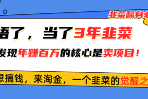 （10759期）悟了，当了3年韭菜，才发现网赚圈年赚100万的核心是卖项目，含泪分享！