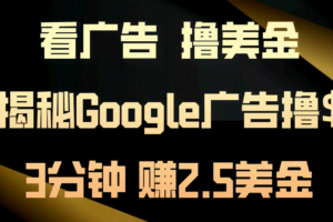 （10912期）看广告，撸美金！3分钟赚2.5美金！日入200美金不是梦！揭秘Google广告…