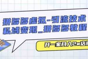 拼多多虚拟引流技术与私域变现-拼多多教程：开一家月入2w店铺