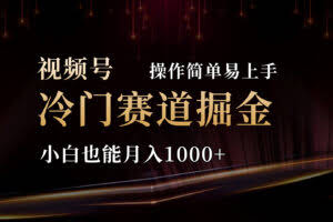 （11125期）2024视频号三国冷门赛道掘金，操作简单轻松上手，小白也能月入1000+