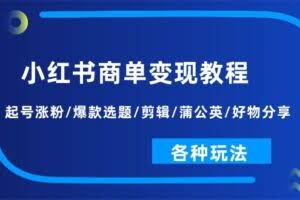 （11164期）小红书商单变现教程：起号涨粉/爆款选题/剪辑/蒲公英/好物分享/各种玩法