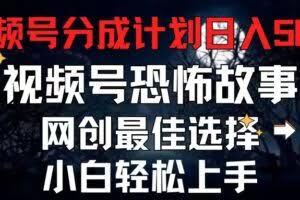 （11308期）2024最新视频号分成计划，每天5分钟轻松月入500+，恐怖故事赛道,