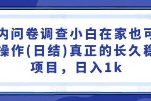国内问卷调查小白在家也可批量操作(日结)真正的长久稳定项目,日入1k【揭秘】