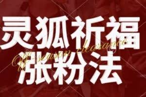 灵狐送祈福，视频号涨粉新方法，分成计划，橱窗带货 3种收益到手，日入1k+【揭秘】