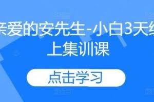 亲爱的安先生-小白3天线上集训课