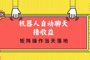 （12908期）机器人自动聊天撸收益，单机日入500+矩阵操作当天落地