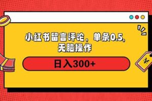 （14044期）小红书评论单条0.5元，日入300＋，无上限，详细操作流程