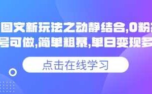 小说推文图文新玩法之动静结合，0粉抖音账号可做，简单粗暴，单日变现多张